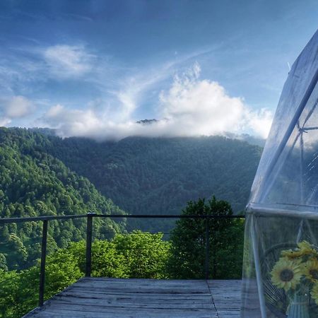 Mtirala Glamping Hotel Chakvistavi Exterior foto